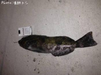 �����ʥ�