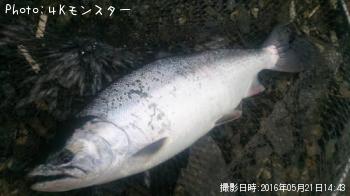 ������ޥ�