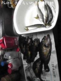 ¥á¥Ð¥ë¡¡¥«¥Þ¥¹