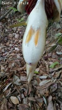 �֥�å��Х�