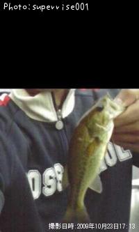 �֥�å��Х�