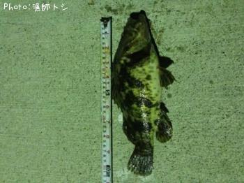 �����Υ���Х�