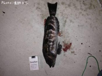 �����ʥ�