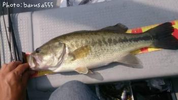 ¥Ö¥é¥Ã¥¯¥Ð¥¹