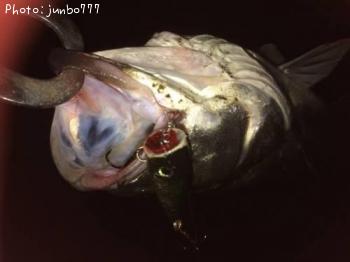 �����Х�