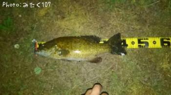 �֥�å��Х��ʥ��⡼���