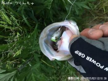 �����Х�