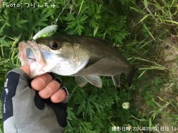 �����Х�