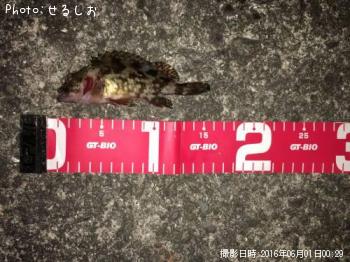 ¡ù¥¬¥·¥é¡ù