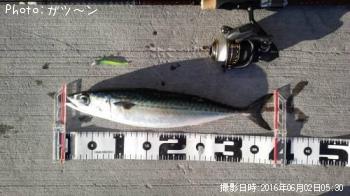 ���С���������������������������