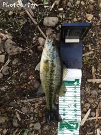 ¥Ö¥é¥Ã¥¯¥Ð¥¹