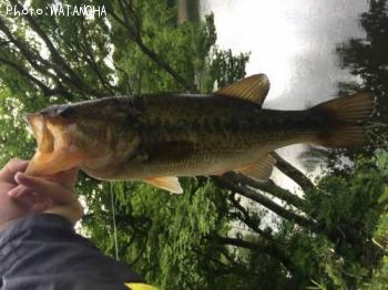 �֥�å��Х�