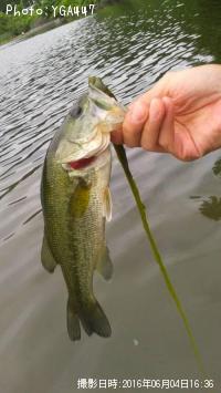 ¥Ö¥é¥Ã¥¯¥Ð¥¹