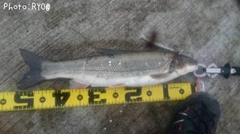 �ޥ륿������