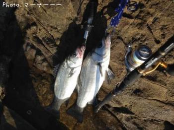 �ҥ饹����