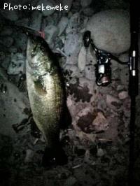 ¥Ö¥é¥Ã¥¯¥Ð¥¹