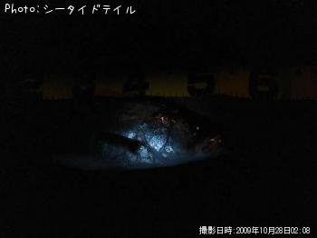 �����Х�