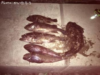 �����������ɥ󥳡�������