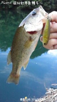 ¥Ö¥é¥Ã¥¯¥Ð¥¹