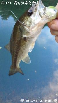 ¥Ö¥é¥Ã¥¯¥Ð¥¹