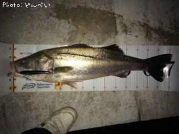 �����Х�