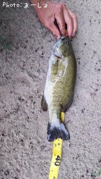 ¥Ö¥é¥Ã¥¯¥Ð¥¹¡Ê¥¹¥â¡¼¥ë¤Ç¤¹¤¬¡Ë