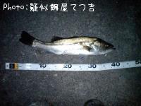 �����Х�