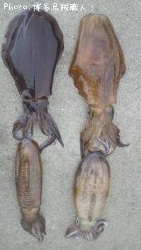 �����ꥤ��