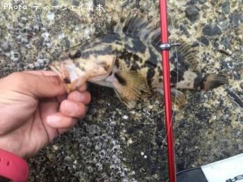 �����Υ���Х�