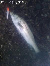 �����Х�