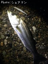 �����Х�