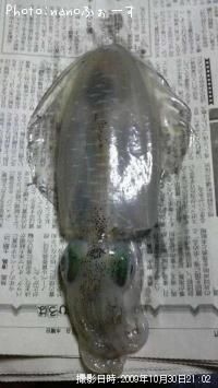 �����ꥤ��