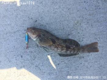 �����ʥ�