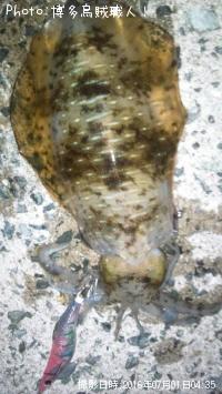 �����ꥤ��