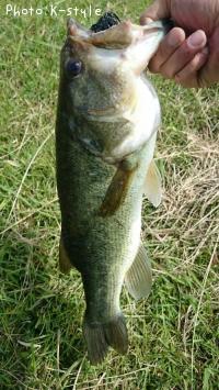 ¥Ö¥é¥Ã¥¯¥Ð¥¹