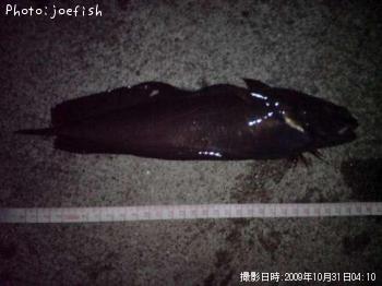 �������������ʥ�