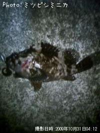 �����Υ���Х�