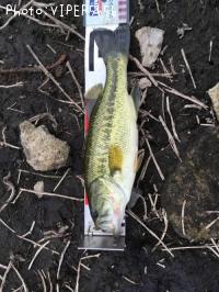 �֥�å��Х�