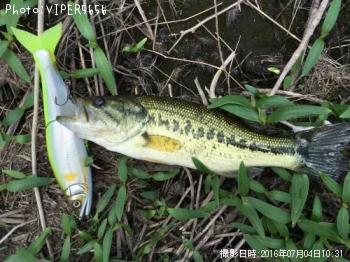 �֥�å��Х�