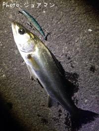 �����Х�