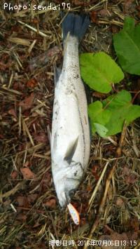 �����Х�