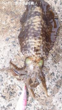 �����ꥤ��