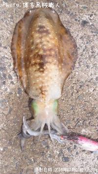 �����ꥤ��