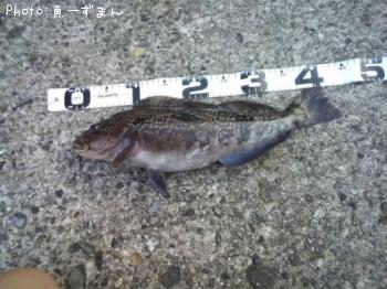 �����ʥ�