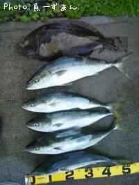 ���ʥ��ȥҥ��