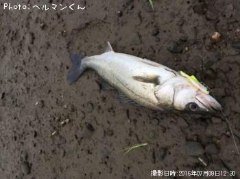 �����Х�