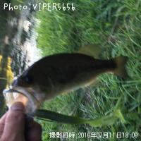 ¥Ö¥é¥Ã¥¯¥Ð¥¹