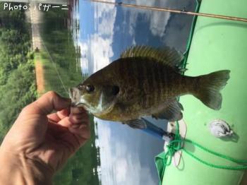 ¥Ö¥ë¡¼¥®¥ë