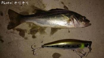 �����Х�