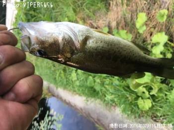 ¥Ö¥é¥Ã¥¯¥Ð¥¹